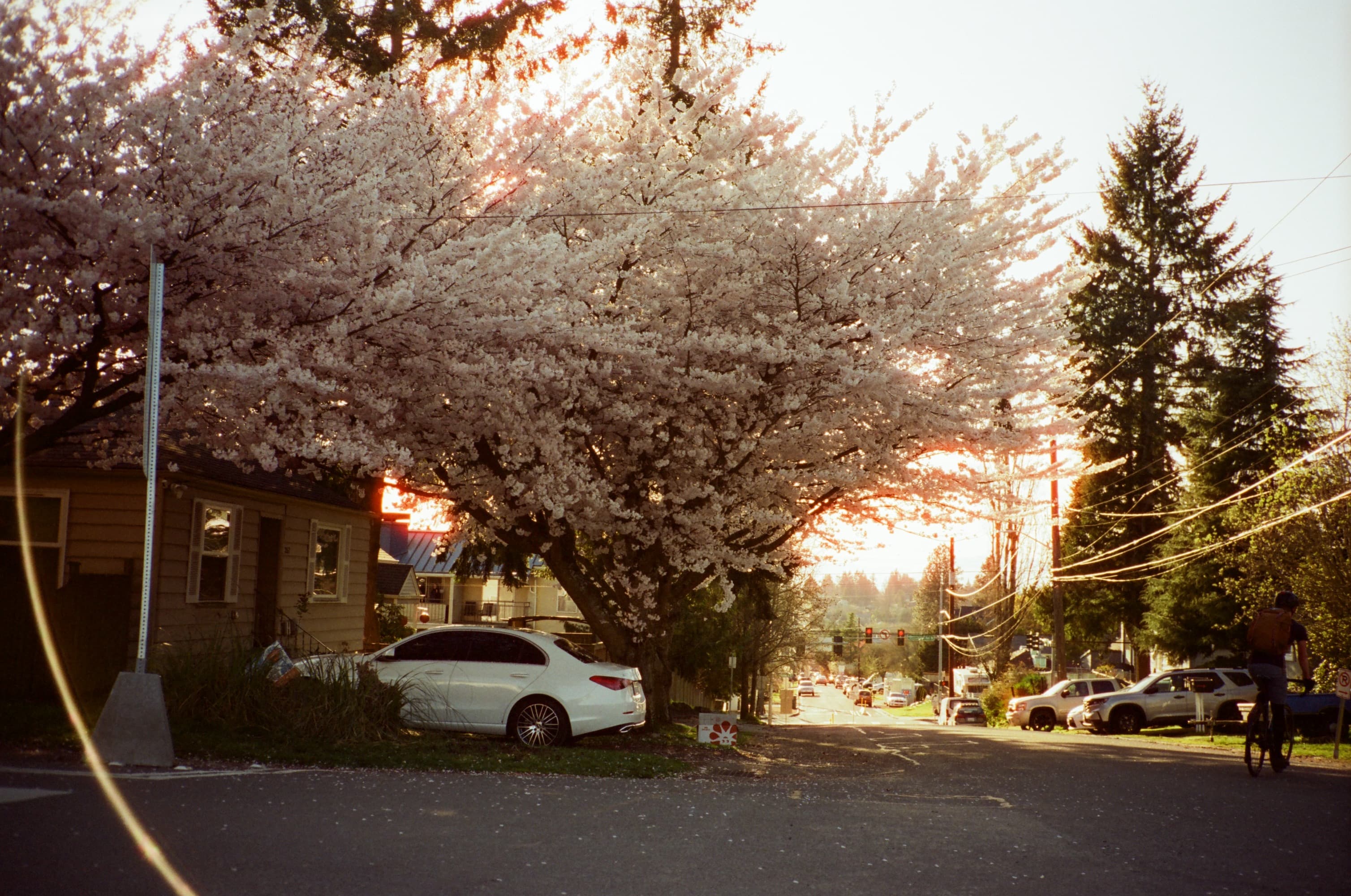 cinestill400_contaxt2_seattle_0426_0526_020