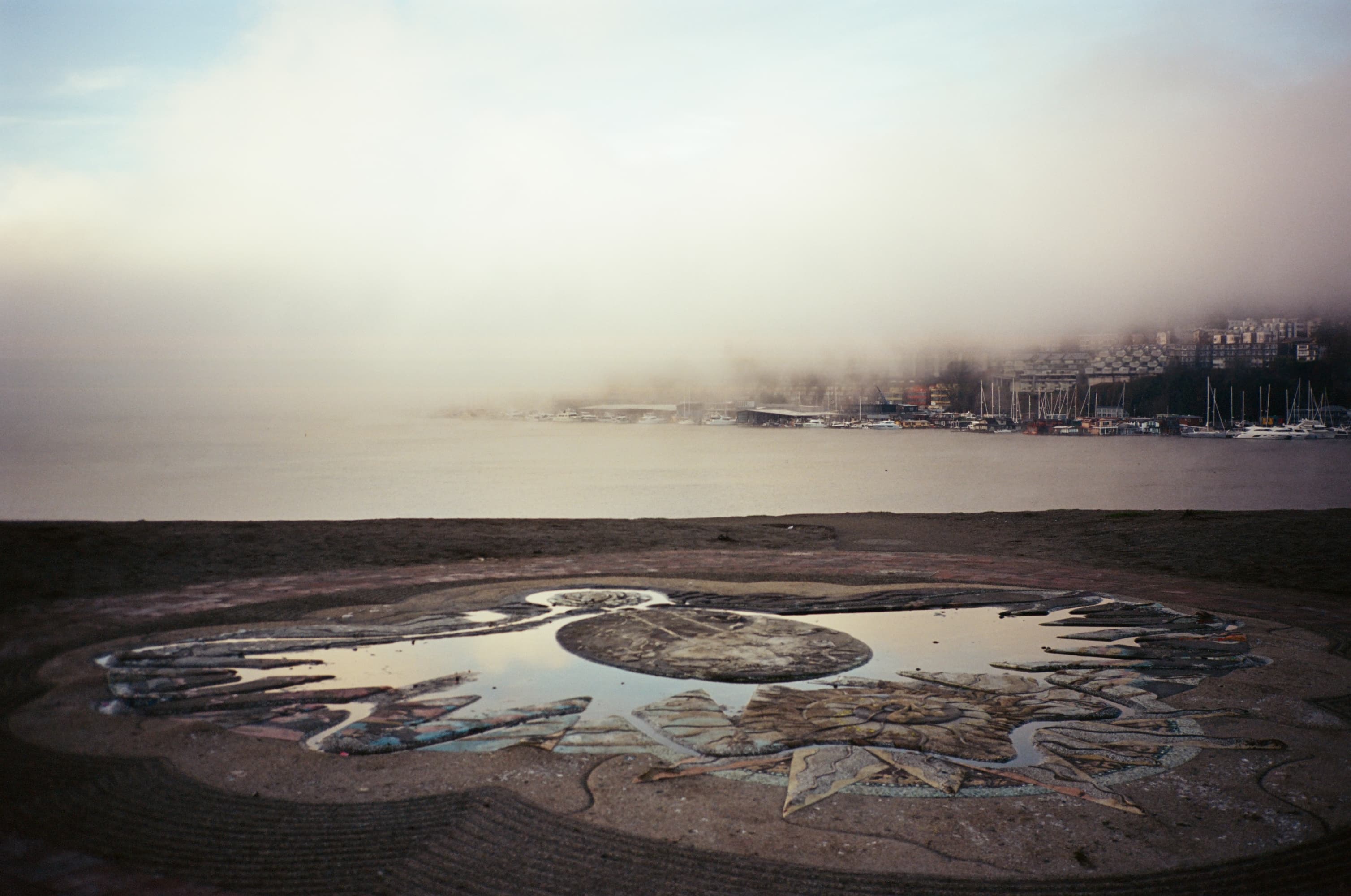 kodak_professional_ektar_100_01_13_2025_000002430025